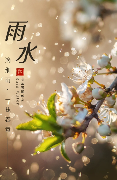 振文包装 | 雨水节气传递爱